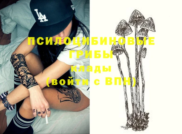 прущие крисы Арсеньев